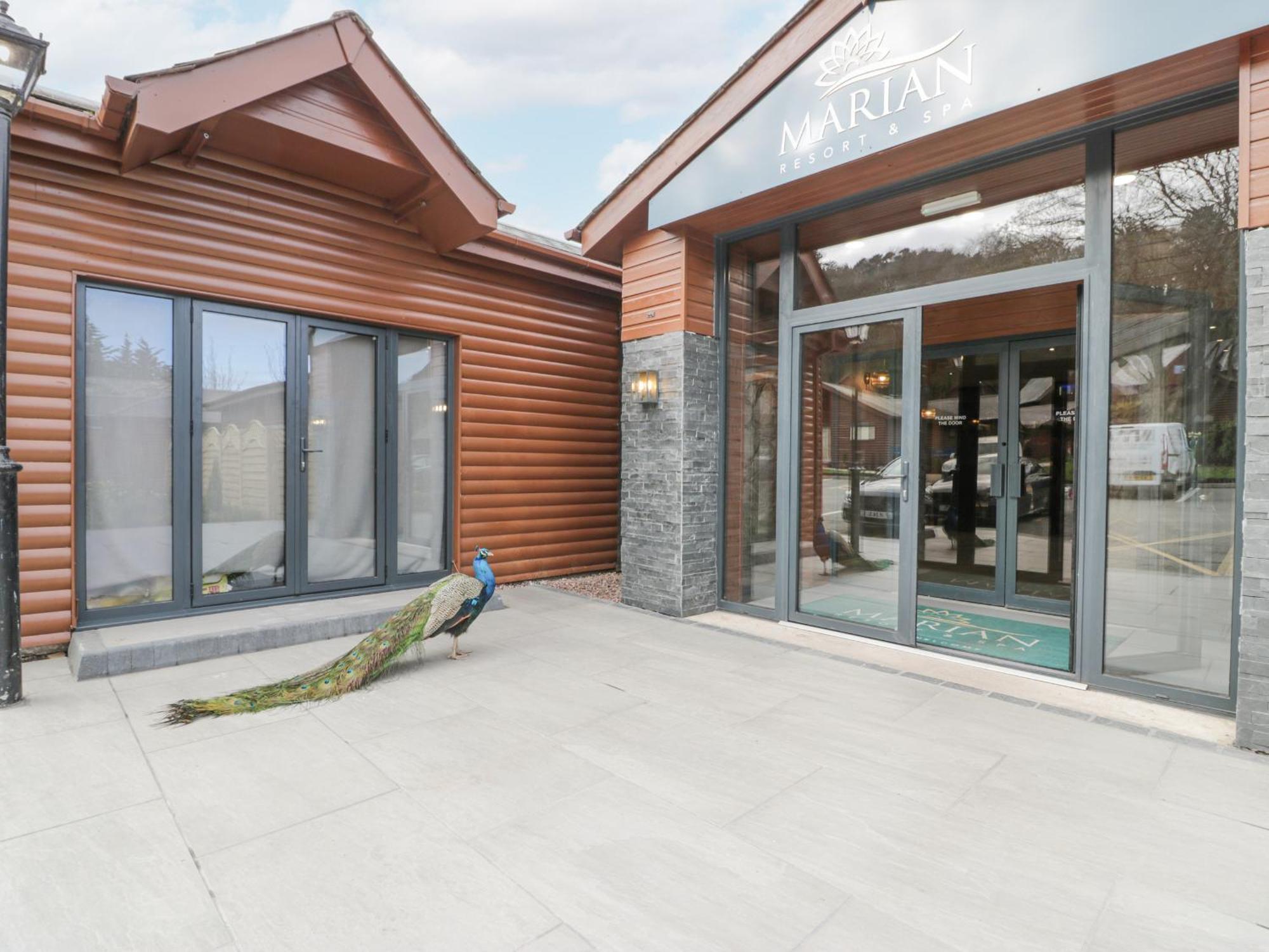 Luxury Lodge 53 Рил Экстерьер фото